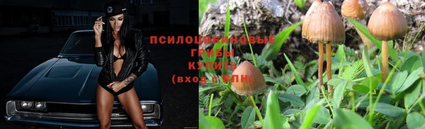 мет Арсеньев