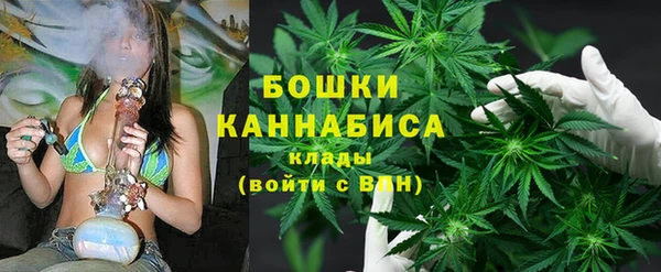 MESCALINE Аркадак